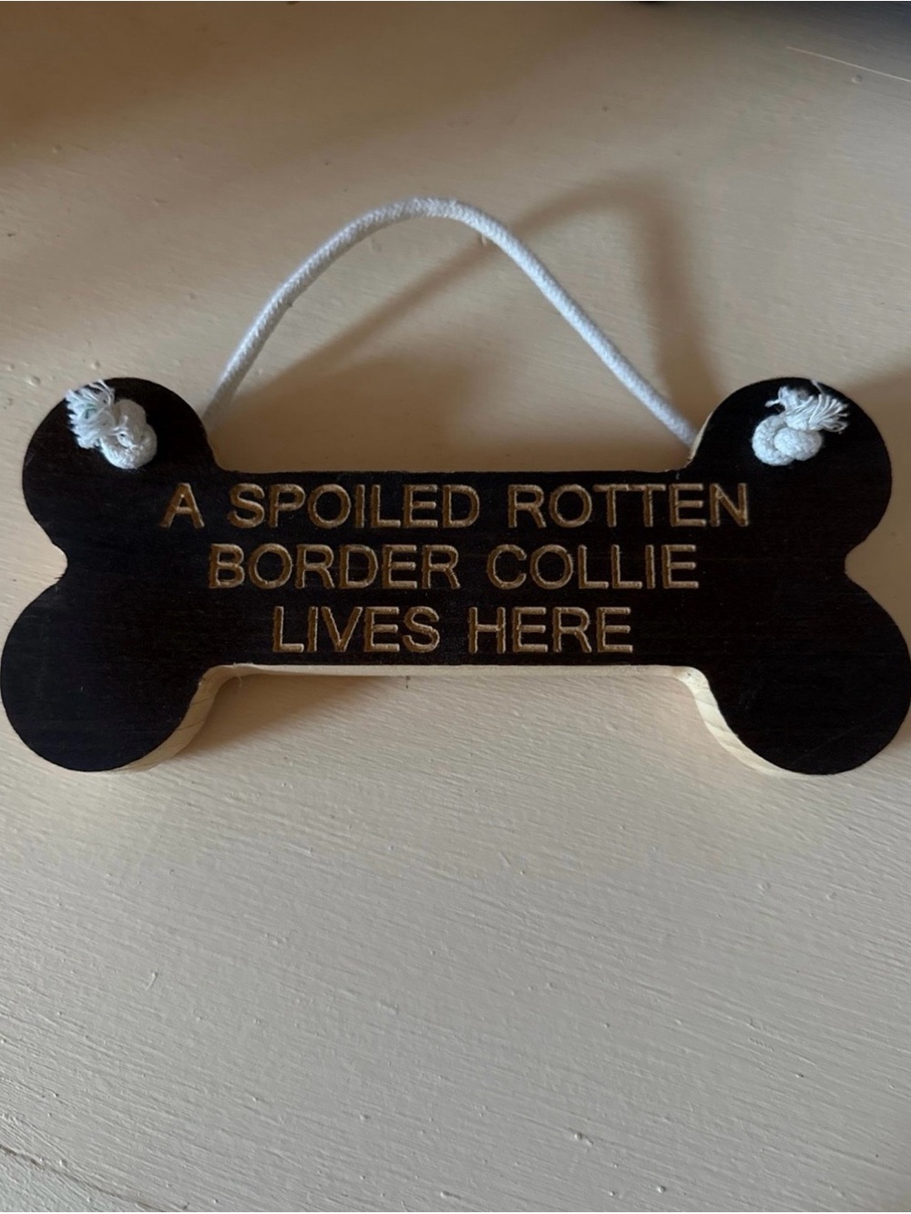 Dog Sign - 'A Spoiled Rotten Border Collie Lives Here'
